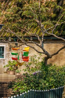 A colourful windsock hangs from a tree above an old wooden fence, surrounded by leaves in the