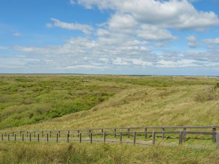 Dune landscape with a wooden path, blue sky and clouds, dune and hiking trails at the wadden sea,