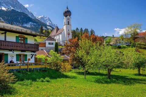 Spring meadow with blossoming trees and parish church in front of the Zugspitze 2962m in the