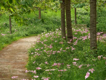 A quiet forest path with blooming pink flowers and green bushes, small, winding path between green