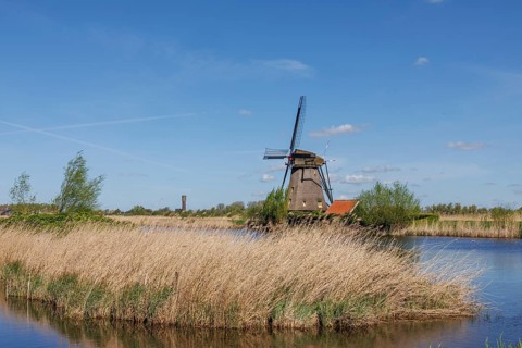 A windmill stands on the riverbank, grass and reeds surround the scene under a blue sky, many