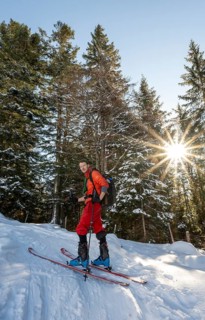 Ski tourers ascending the Aiplspitz, Sonnenstern in the forest, Mangfall mountains, Bavarian