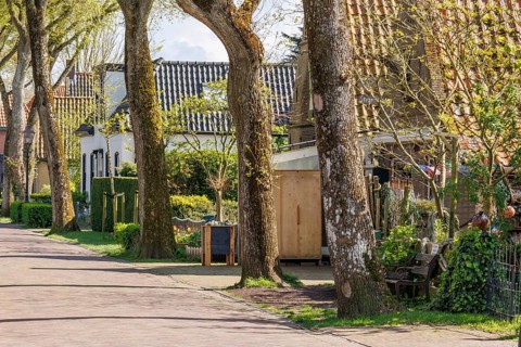 Tree-lined street with houses and gardens on a sunny spring day, historic houses and a church with