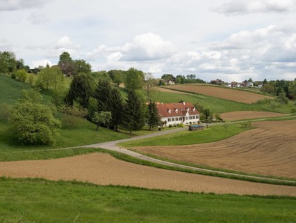 Farmland at the edge of a forest, near Riegersburg, Styria, Austria, Europe