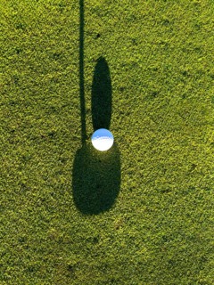 Golf Ball on Putting Green with Shadow and Shadow of a Golf Club Putter in a Sunny Day in