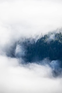 Wooded mountain looks out of cloud cover, view from Ettaler Manndl, high fog in the valley,