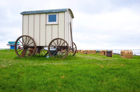 Old wooden cart, bathing cart with drawbar and large wooden wheels on a green meadow, in the