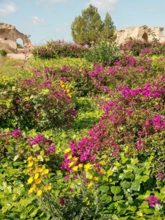 Lush flowers in yellow and purple in front of ancient ruins in the middle of a green landscape in
