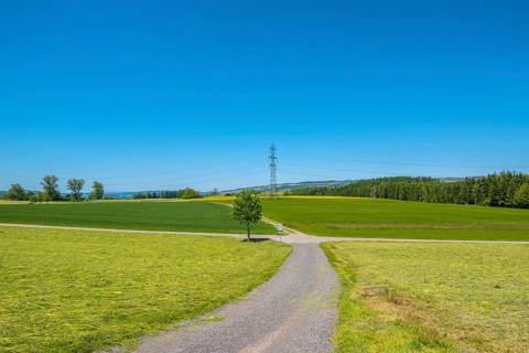 A clear summer day with a path through green fields and meadows, surrounded by trees and a power