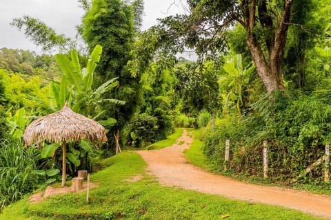 Thatched roof umbrella rest area with two tree stump seat next to dirt road in jungle in Thailand