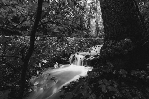 River in the forest, captured in black and white, emphasises the movement of the water. Koblenz,