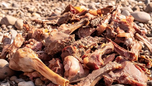 Lots of raw meat, offal with bones, AI generated, AI generated