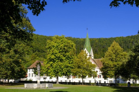 Fountain, monastery courtyard, Blaubeuren Monastery, Swabian Alb, Baden-Wuerttemberg, Germany,
