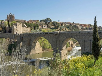 Historic stone bridge with arches over a river, surrounded by church, vegetation and cityscape,