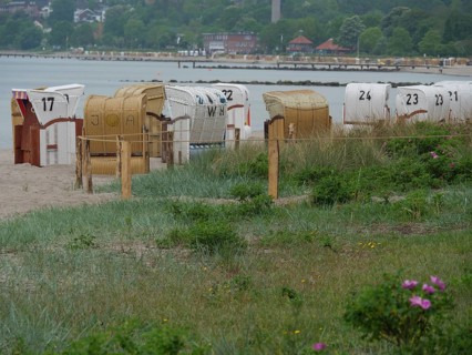 Several beach chairs on a sandy beach with dense vegetation in the foreground and a hilly coastal