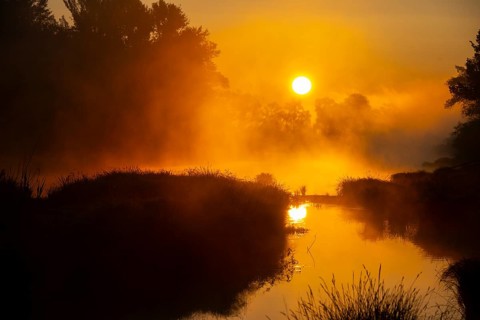 Morning atmosphere, fog, sunlight, backlight, water, Lower Austria