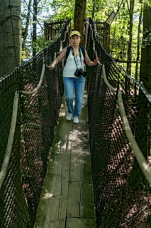 Sporty woman, tourist with camera in treetop path, suspension bridges, ropes, nets, beech forest,