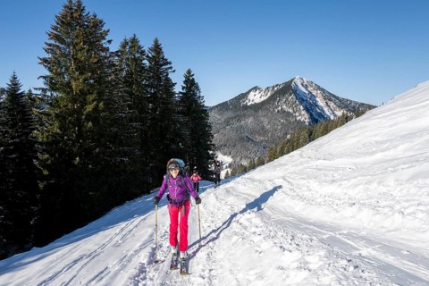 Ski tourer climbing the Aiplspitz, Mangfall mountains, Bavarian Prealps, Bavaria, Tyrol, Germany,