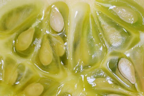 African horned melon (Cucumis metuliferus), sliced fruit
