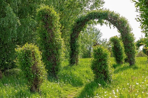 Topiary Garden, Symphonic Willow Walk, Boizenburg, Mecklenburg-Vorpommern, Germany, Europe
