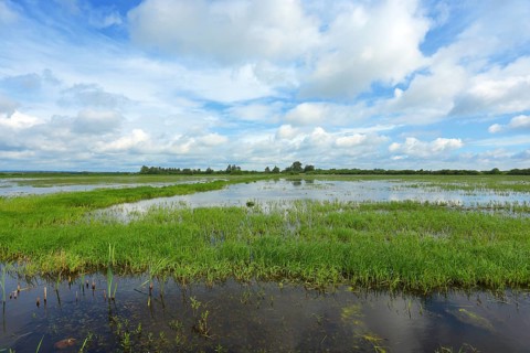 Clouds over the wet meadows in the Ochsenmoor at Lake Duemmer, spring, distance, Huede, Lower