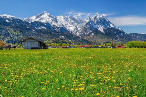Spring meadow with hay barns at the edge of the village in front of Zugspitzgruppe 2962m in