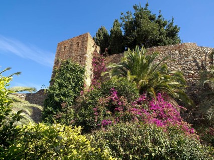 Stone walls of a historic castle, overgrown with ivy and colourful flowers, against a blue sky,