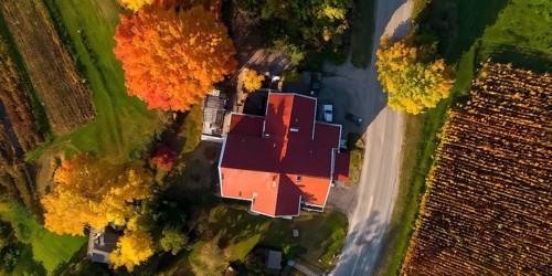 Aerial view of a rustic vineyard cottage nestled in a canopy of vines leaves showcasing autumns