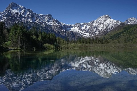 A tranquil lake with the reflection of snow-capped mountains and a forest against a clear blue sky.