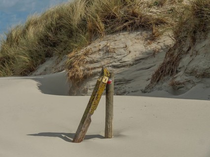Wooden post in a sand dune with grasses, under a clear sky with few clouds, dune and beach by the
