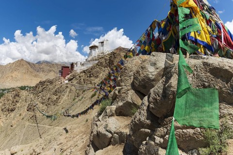 Namgyal Tsemo Gompa Monastery, Tsenmo Hills, Leh, Ladakh, Jammu and Kashmir, India, Asia