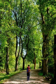 Hiker Danube-Zollernalbweg, Inzigkofen Princely Park near Sigmaringen, Upper Danube Valley,