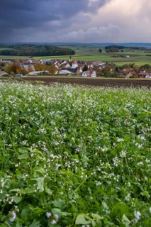 View over Schopflohe near Fremdingen, on the edge of the Ries crater, Noerdlinger Ries, Swabia,