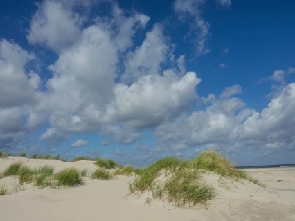 Extensive sand dunes with tufts of grass under a blue sky with white clouds, sand dune with dune