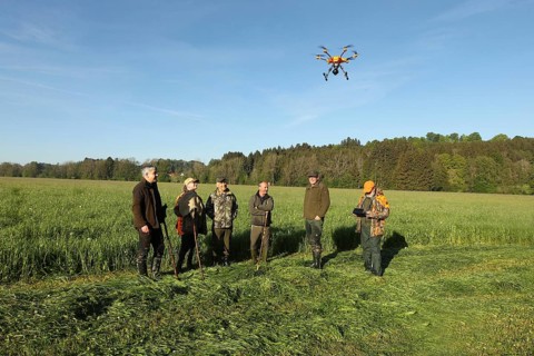 European roe deer (Capreolus capreolus) fawn rescue, the meadow to be mowed was previously searched