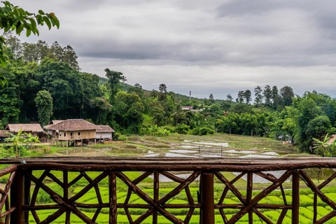 Landscape of rice paddies and buildings located at Chiang Doa Five Hill Tribes Village in Thailand