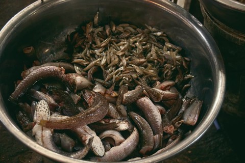 A metal bowl filled with fresh raw seafood in the local traditional Samaki wet market in Kampot