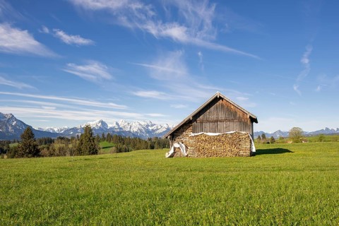 Wooden hut near Fuessen, woodpile, Allgaeu Alps, snow, meadow, Allgaeu, Bavaria, Germany, Europe