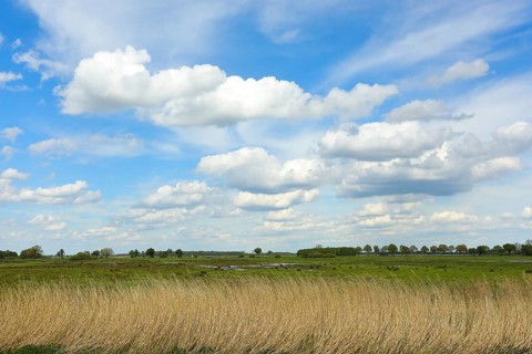 Meadow landscape with clouds on the southern shore of the Duemmer, inland lake, Huede, Lower