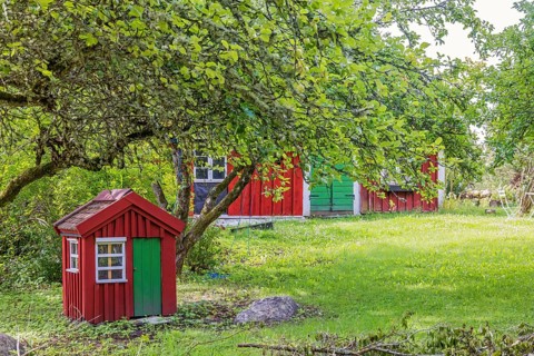 Small red wooden croft in a garden under an apple tree beside a old cottage, Sweden, Europe