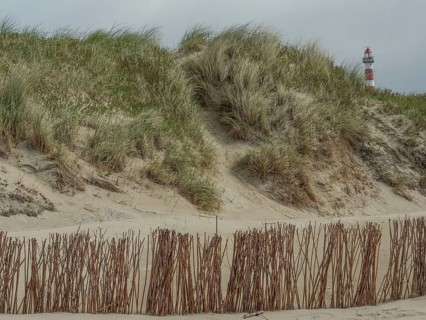 Landscape view of sandy dunes with grass by the sea and a lighthouse in the background, beach and