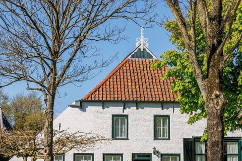 Historic house with tiled roof, surrounded by trees under the blue spring sky, historic houses in a