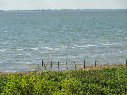 Coastline with green vegetation and sea with gentle waves under a sky, dune and hiking trails at