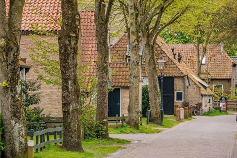 Cosy street with several houses in the background, flanked by large trees, old houses with green