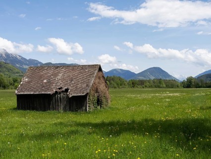 Hay barn in a meadow, near Irdning, Ennstal, Styria, Austria, Europe