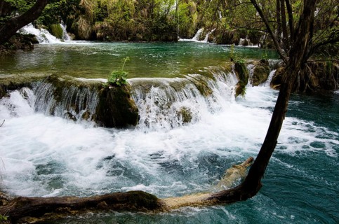 An idyllic waterfall in the middle of a dense forest with clear blue water and green surroundings.