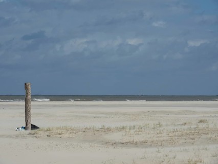 Lonely beach with dunes in front of a grey, cloudy sky. The sea is calm and spacious, waves on a