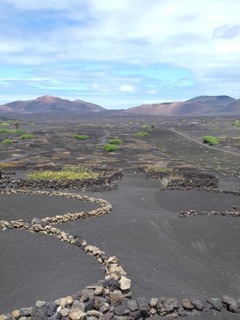 Agriculture arrangement on black earth under a somewhat cloudy sky, barren landscape with roads,