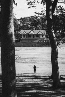 A person walks towards a building through the park. Taken in black and white in Auckland, New