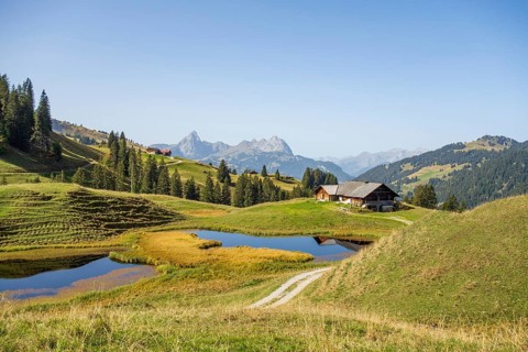 Alpine idyll with hut and ponds in a landscape surrounded by mountains under a clear sky, mountain
